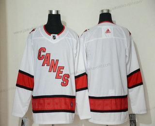 Adidas Miesten Carolina Hurricanes Tyhjä Valkoinen New 2019 Ommeltu NHL Paita