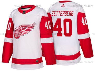 Adidas Miesten Detroit Red Wings #40 Henrik Zetterberg Valkoinen 2017-2018 Jääkiekko Ommeltu NHL Paita