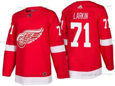 Adidas Miesten Detroit Red Wings #71 Dylan Larkin Punainen Kotiottelupaita 2017-2018 Jääkiekko Ommeltu NHL Paita