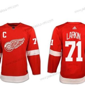 Adidas Miesten Detroit Red Wings #71 Dylan Larkin Punainen With C Patch Kotiottelupaita Aito Ommeltu NHL Paita