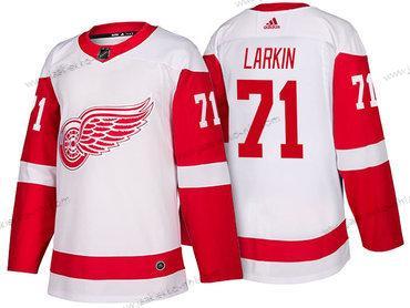 Adidas Miesten Detroit Red Wings #71 Dylan Larkin Valkoinen 2017-2018 Jääkiekko Ommeltu NHL Paita