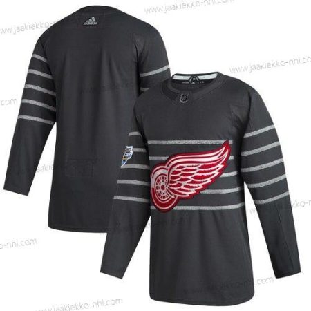 Adidas Miesten Detroit Red Wings Tyhjä Harmaa 2020 NHL All-Star Game Paita