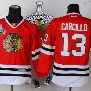 Lasten Chicago Blackhawks #13 Daniel Carcillo Punainen Paita W/2015 Stanley Cup Champion Patch