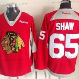 Miesten Chicago Blackhawks #65 Andrew Shaw 2014 Training Punainen Paita