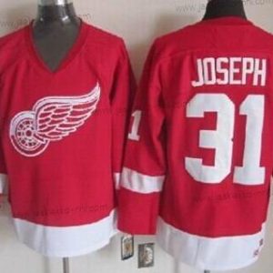 Miesten Detroit Red Wings #31 Curtis Joseph Punainen Retro CCM Paita