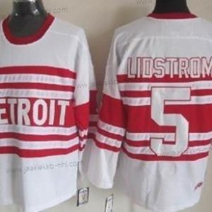 Miesten Detroit Red Wings #5 Nicklas Lidstrom Valkoinen 75Th Retro CCM Paita