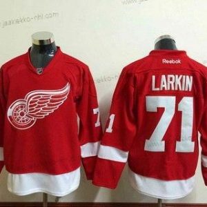 Miesten Detroit Red Wings #71 Dylan Larkin Reebok Punainen Kotiottelupaita Premier Paita