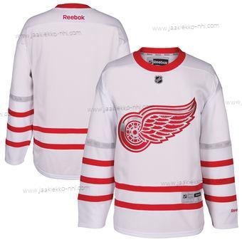 Miesten Detroit Red Wings Reebok Valkoinen 2017 Centennial Klassinen Premier Tyhjä Paita