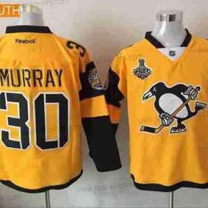 Miesten Nuoret Pittsburgh Penguins #30 Matt Murray Keltainen Stadium Series 2017 Stanley Cup Finals Patch Ommeltu NHL Reebok Jääkiekko Paita