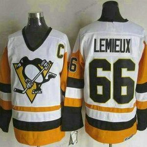 Miesten Pittsburgh Penguins #66 Mario Lemieux 1988-89 Valkoinen CCM Vintage Paita