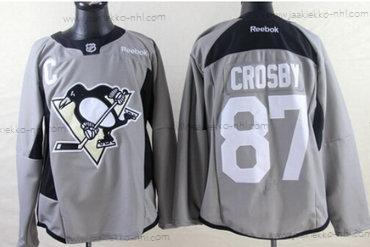 Miesten Pittsburgh Penguins #87 Sidney Crosby 2014 Training Harmaa Paita