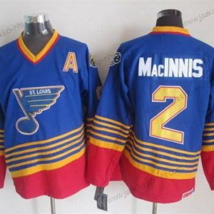 Miesten St. Louis Blues #2 Al Macinnis 1995 Sininen Retro CCM Paita