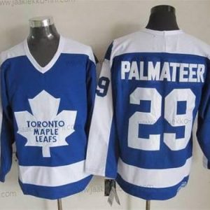 Miesten Toronto Maple Leafs #29 Felix Potvin 1982-83 Sininen CCM Vintage Paita