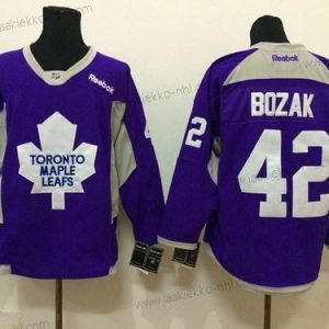 Miesten Toronto Maple Leafs #42 Tyler Bozak 2014 Training Violetti Paita