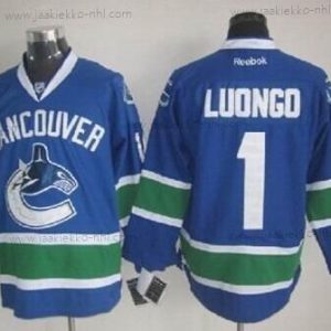 Miesten Vancouver Canucks #1 Roberto Luongo Sininen Paita