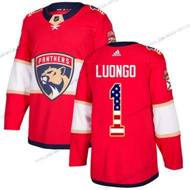 Nuoret Florida Panthers #1 Roberto Luongo Punainen Kotiottelupaita Aito USA Flag Ommeltu NHL Paita